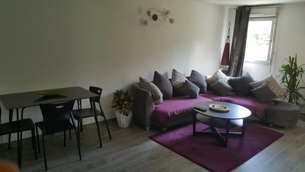 Cite Espace Apartment Toulouse Buitenkant foto